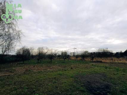 Dom w Kutnie w cenie mieszkania, Działka ok 2500 m2