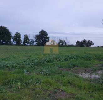 Gospodarstwo rolne ze stawem