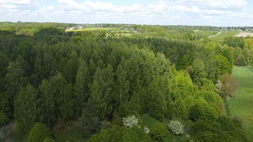 Działka 2,15 ha z potencjałem koło Nałęczowa.
