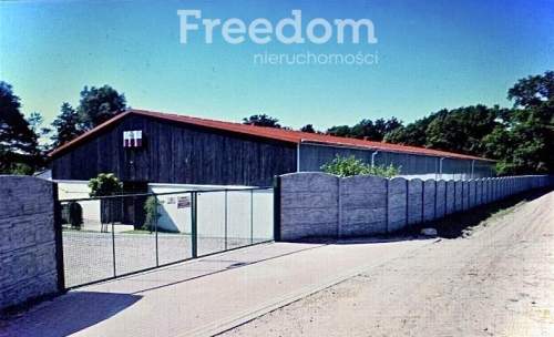 Piękna Stadnina Ośrodek treningu koni sportowych.