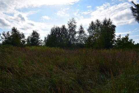 Działka rolna 27a - Hermanowa
