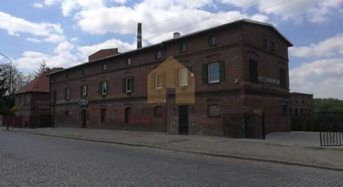 Restauracja/lokal usługowy w Ziębicach 600 m2
