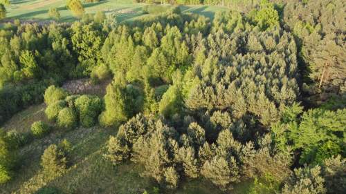 Działka o pow. 1,63 ha w Karolowie gm. Chotcza.