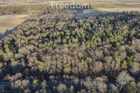 50 arowa działka rolno-leśna, Giedlarowa