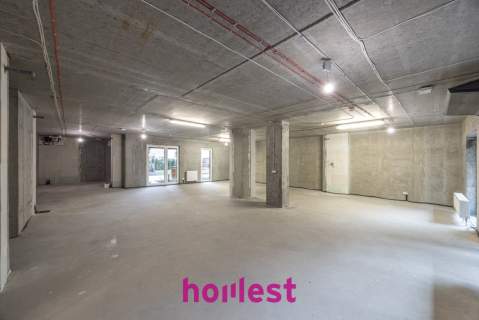 Lokal w Wildzie blisko centrum