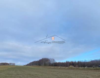 Sprzedam grunt rolny   Hucisko Nienadowskie,