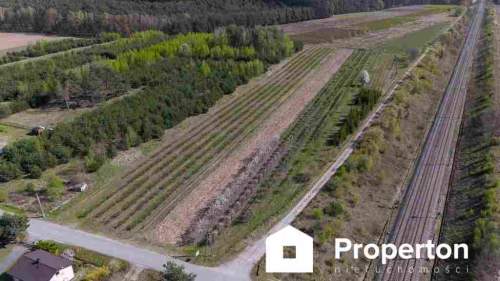 Gospodarstwo sadownicze 6,86 ha Franciszków