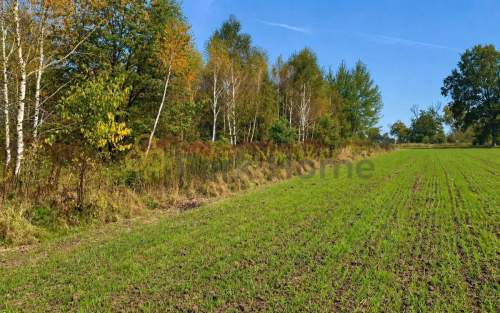 Działka rolna 23 800 m Sieraków