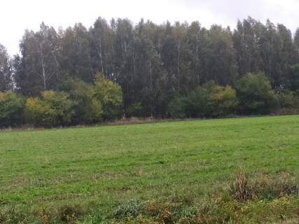 Działka budowlana pod dom jednorodzinny Kamionka