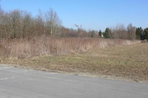 Działki budowlane w Nałęczowie.