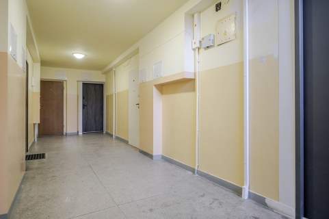 2 pokoje po generalnym remoncie blisko centrum