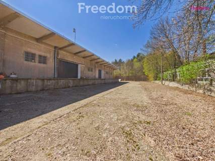 Na wynajem hala 1000m2 z pomieszczeniami biurowymi
