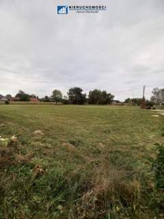 Grunt rolny 1,4ha, hala Kłębanowice/Polkowice