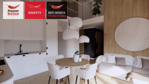 Dwupoziomowy apartament Puck