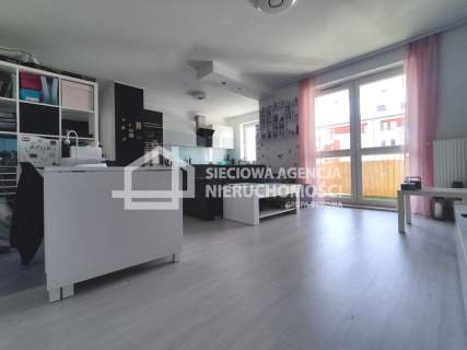 mieszkanie na wynajem Borkowo 2 pokoje 49,50 m2