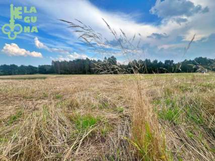 Jeleńska Huta, działki blisko lasu, cisza i spokój