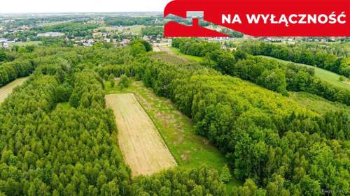 3 działki rolne na sprzedaż Skrzyszów 1,56 ha