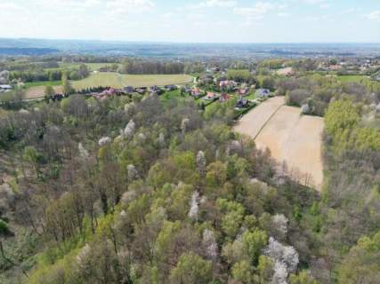 Twój prywatny las blisko Tarnowa - 98 arów spokoju i natury 