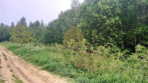 Duża działka w ładnym miejscu 