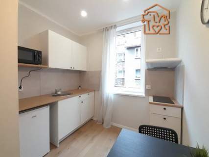 Funkcjonalne studio, pet-friendly - Cmentarna 26