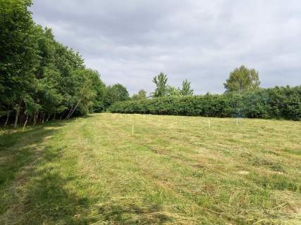 Działka widokowa, budowlana 27 arów, Zagórzany