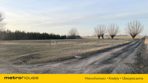 Działka na sprzedaż, 5600 m2, Koszajec
