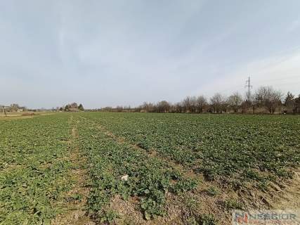 Działka na sprzedaż Stok Lacki Folwark