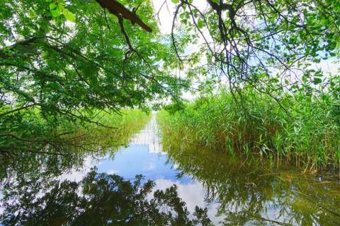 Działka - Czaplinek