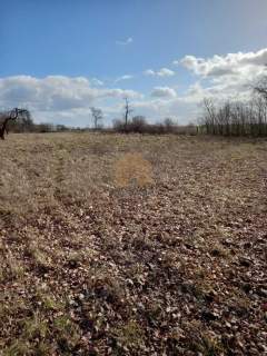 Działka budowlana na sprzedaż, 3000,3 m2, Ścinawa