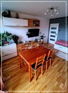2 pokoje/ balkon/ lasek/ piwnica/ parking