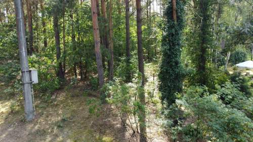 Działka 800 m2 w Woli Chodkowskiej Warszawa 85 km.
