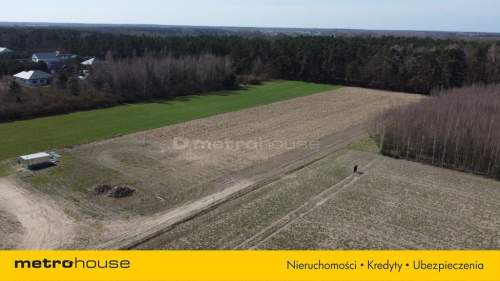 Działki budowlane, Kazimierz, natura