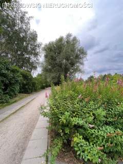 Wilanów, Vogla, MPZP, mieszkaniowa, usługi