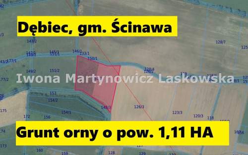 Grunty rolne i łąki - Dębic - Gmina Ścinawa