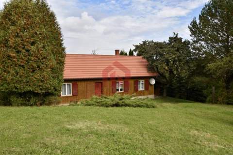 Raj na wsi 6,57ha dom z lasem pod Dębicą