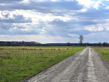 Działki w Skrobowie, gm. Lubartów