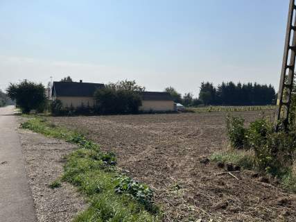Działka rolno-budowlana 0,62 ha w Gołębiu k/Puław.