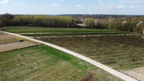 Działka pod zabudowę 3318 m2 Góry Kazimierz Dolny.
