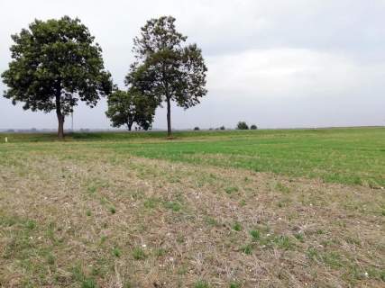 Działka inwestycyjna 4,5 ha bezpośrednio przy S12