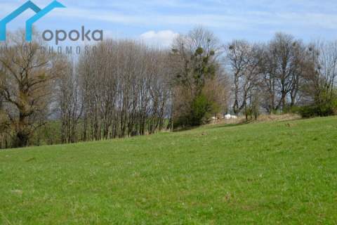 Rolna działka w Lesznej Górnej