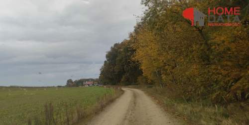 Działki w otoczeniu natury - Jaszkowo k/Śremu