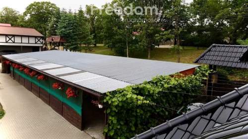 Piękna Stadnina Ośrodek treningu koni sportowych.