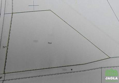 Nowa Wioska 3520m2 działki z WZ na dwa domy las