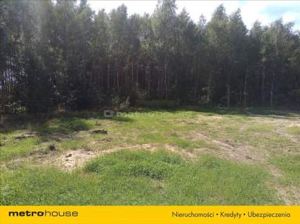 Działka przemysłowa 5,72 ha w Małgorzatowie