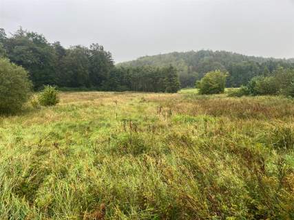 Działka rolna - Świecino