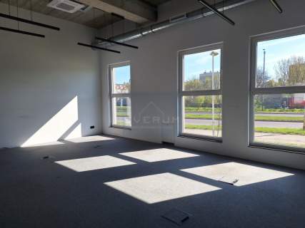 Duży lokal biurowy do wynajęcia/Parkitka
