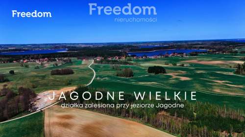 działka leśna w sercu Mazur Jagodne Wielkie