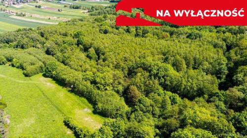 3 działki rolne na sprzedaż Skrzyszów 1,56 ha