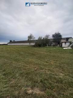 Grunt rolny 1,4ha, hala Kłębanowice/Polkowice
