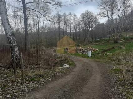 Zobacz i kup działki w okolicach Jedliny
